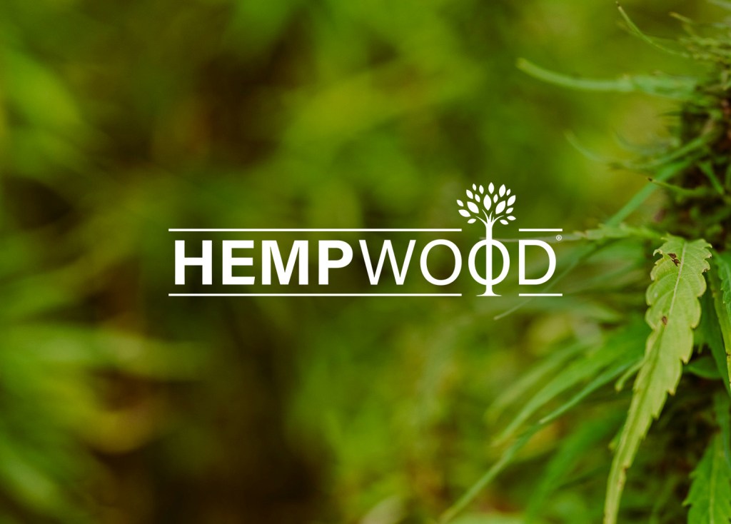 Case Study: Revitalizing HempWood’s Visual&nbsp;Identity